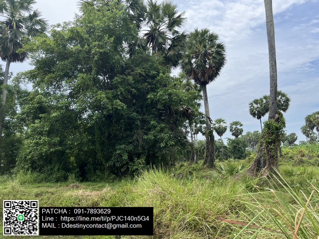 Beautiful land plot for sale, good location, Satun District, Songkhla Province, near community, convenient transportation