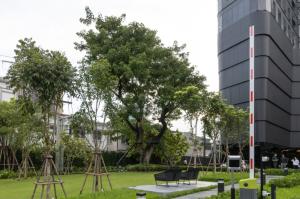 ขายด่วน! IDEO Q Sukhumvit36 1BR ตำแหน่งเทพ ราคาดีที่สุดในโครงการ!