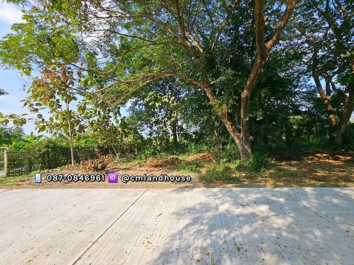 Beautiful view land, 236 sq.w., very cheap, 10,000 per sq.w., opposite Hang Dong Hospital, beautiful land, filled in, has electricity, water, good concrete road. – รูปที่ 2