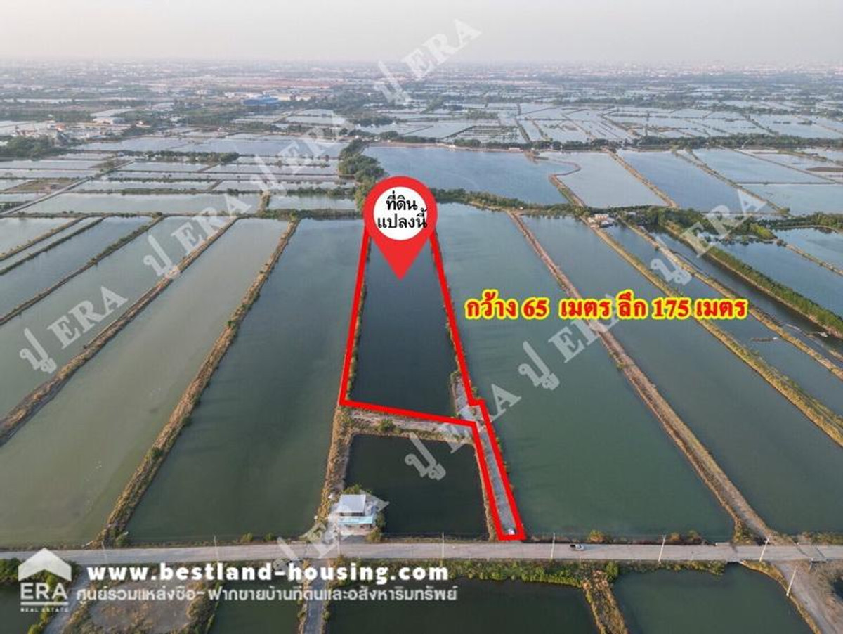 ขายที่ดินเปล่า เนื้อที่ 7 ไร่ 40 ตร.วา สถานที่ตั้ง ซอยเทียนทะเล 32 ต.พันท้ายนรสิงห์ อ.เมืองสมุทรสาคร จ. สมุทรสาคร – รูปที่ 3