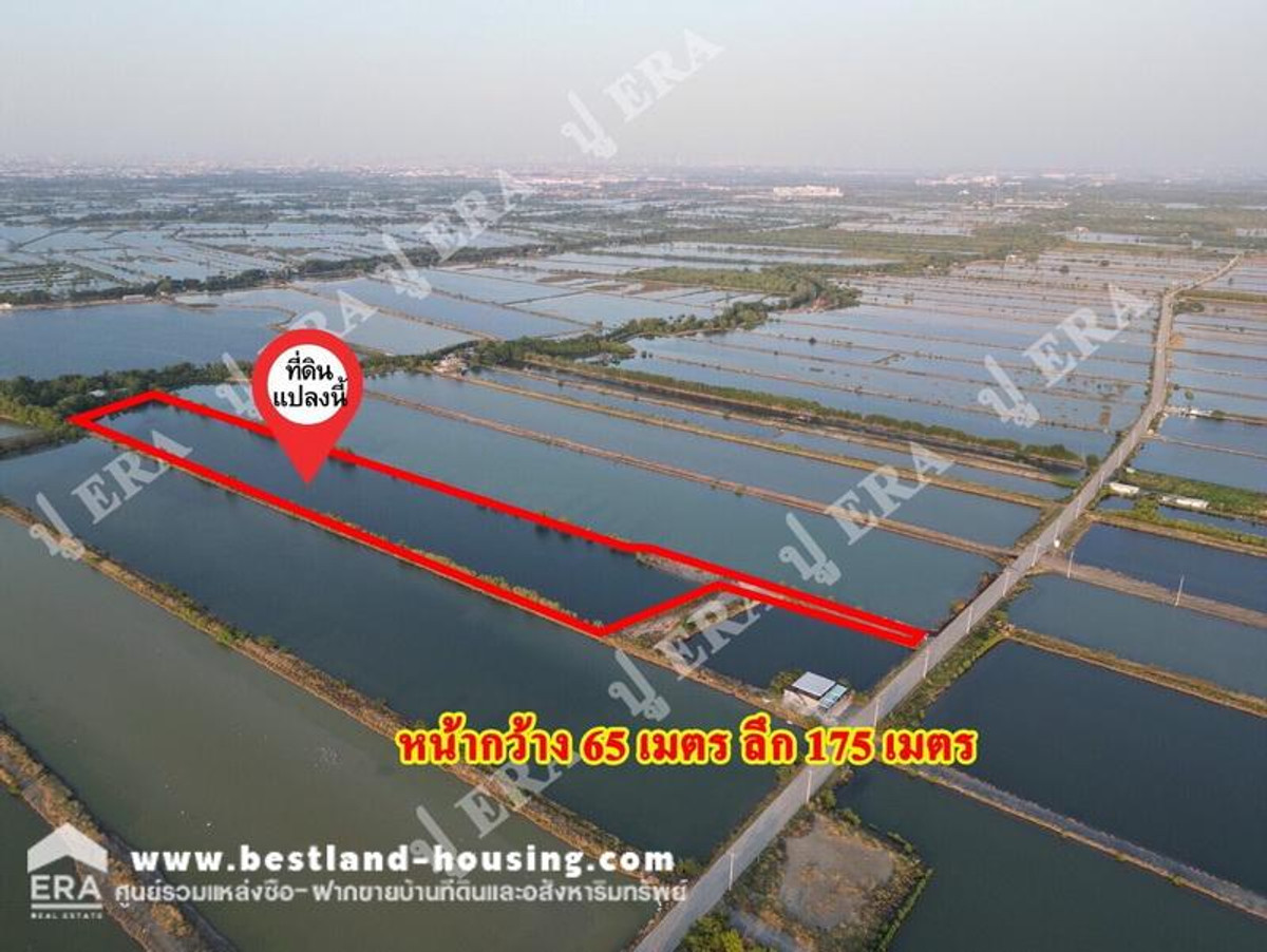 ขายที่ดินเปล่า เนื้อที่ 7 ไร่ 40 ตร.วา สถานที่ตั้ง ซอยเทียนทะเล 32 ต.พันท้ายนรสิงห์ อ.เมืองสมุทรสาคร จ. สมุทรสาคร – รูปที่ 2