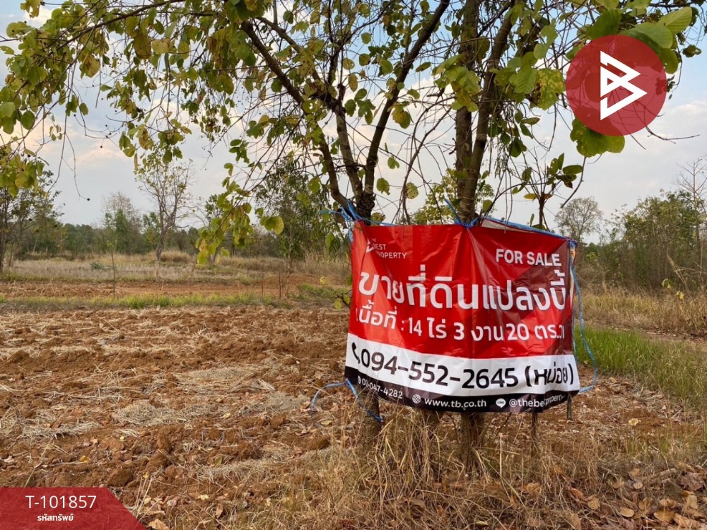 Land for sale, area 14 rai 3 ngan 20 sq m, Sam Phrao, Udon Thani Land for sale, area 14 rai 3 ngan 20 sq m, Sam Phrao, Udon Thani
