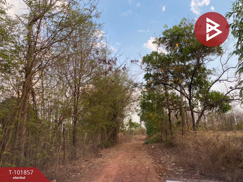 Land for sale, area 14 rai 3 ngan 20 sq m, Sam Phrao, Udon Thani – รูปที่ 4
