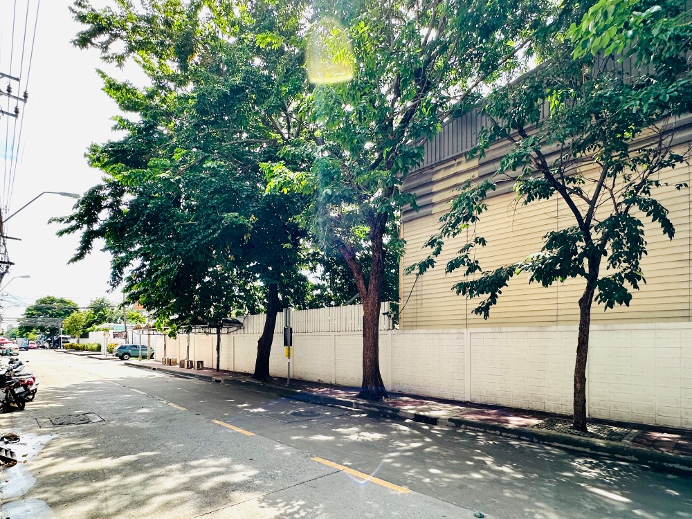 Land for sale with warehouse, Soi Chin Khet 1 (Ngamwongwan 43, Intersection 2), size 298 square wah, Thung Song Hong Subdistrict, Lak Si District, Bangkok – รูปที่ 4