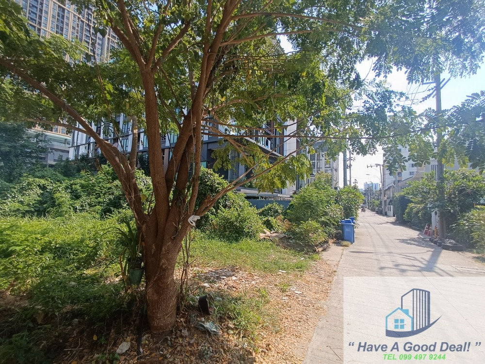 Land area 286 sq.wa, Soi Sukhumvit 72, Samrong Nuea, Samut Prakan – รูปที่ 3