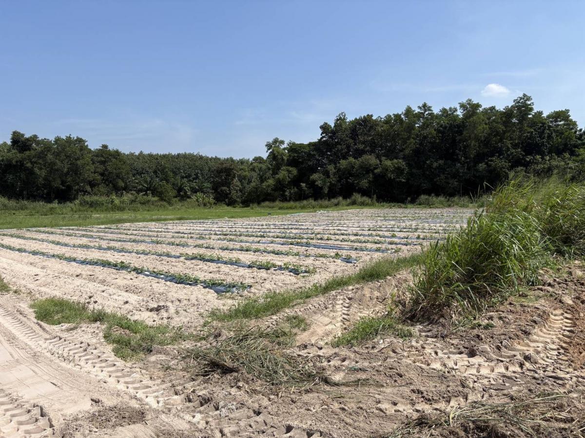 🔥land for sale 🔥 – รูปที่ 4