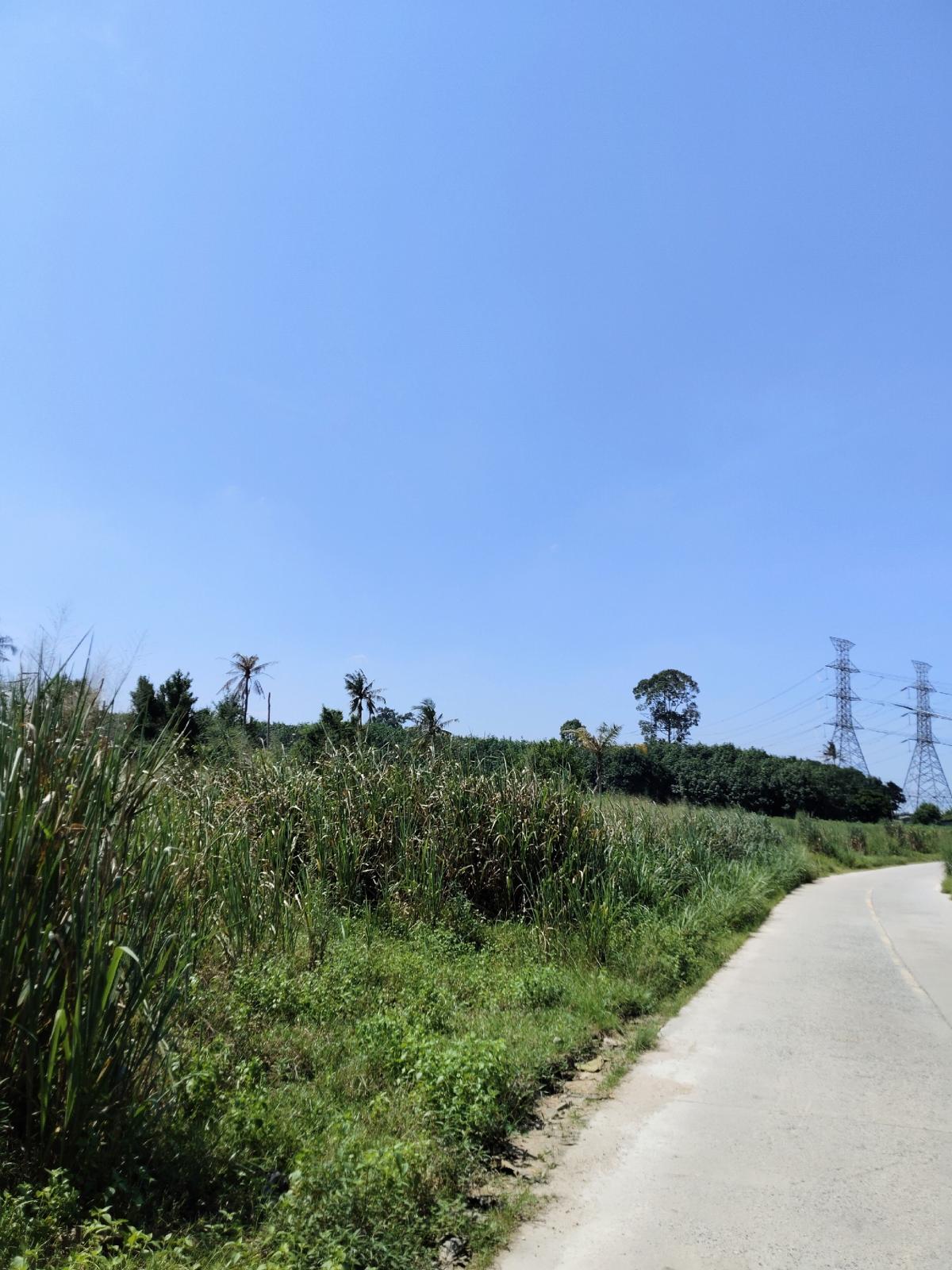 🔥land for sale 🔥 – รูปที่ 3