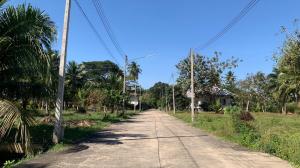 🔥ขายด่วน🔥ที่ดินริมคลองอัมพวา (ติดคลองหน้ากว้างเกือบ 100 ม.) เป็นแปลงที่มีศักยภาพสูงทั้งเพื่ออยู่อาศัยและลงทุน