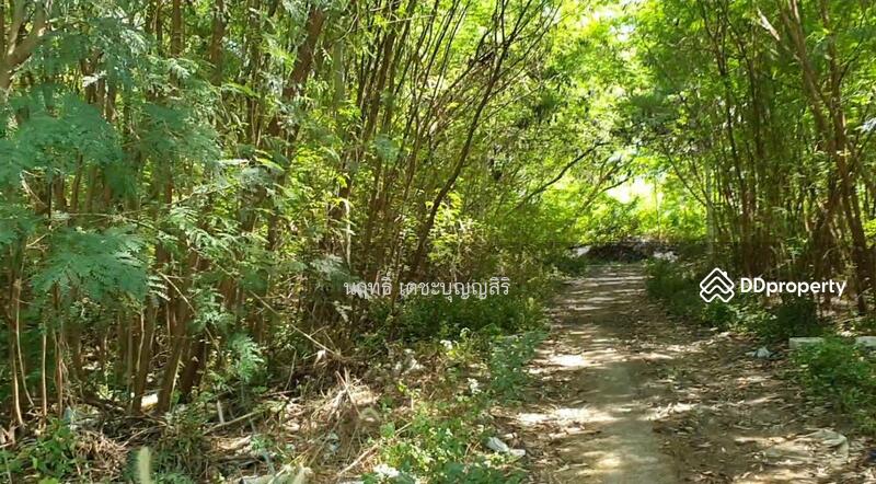 K1625 Land for sale 4-3-32 rai (filled) Soi Suksawat 84 near Paolo Hospital, Phra Pradaeng – รูปที่ 3