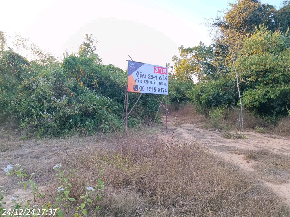 ขายที่ดิน ใกล้เขื่อนแก่งกระจาน เพชรบุรี เหมาะทำที่พัก รีสอร์ต ลานแคมป์ปิ้ง เดินทางสะดวก จากถนนสาย 3510 เข้าไปเพียง 600 – รูปที่ 2