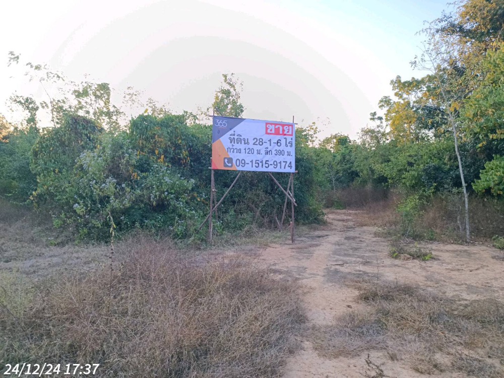 ขายที่ดิน ใกล้เขื่อนแก่งกระจาน เพชรบุรี เหมาะทำที่พัก รีสอร์ต ลานแคมป์ปิ้ง เดินทางสะดวก จากถนนสาย 3510 เข้าไปเพียง 600 – รูปที่ 3