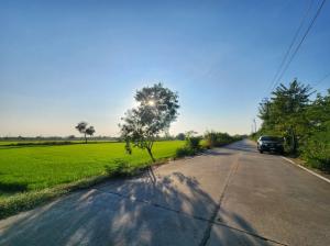 Land for sale, Sai Noi, near Bang Bua Thong-Suphan Buri Road, size 10 rai, width 126 meters, near Wat Rat Niyom, good location, suitable for agriculture, building a house