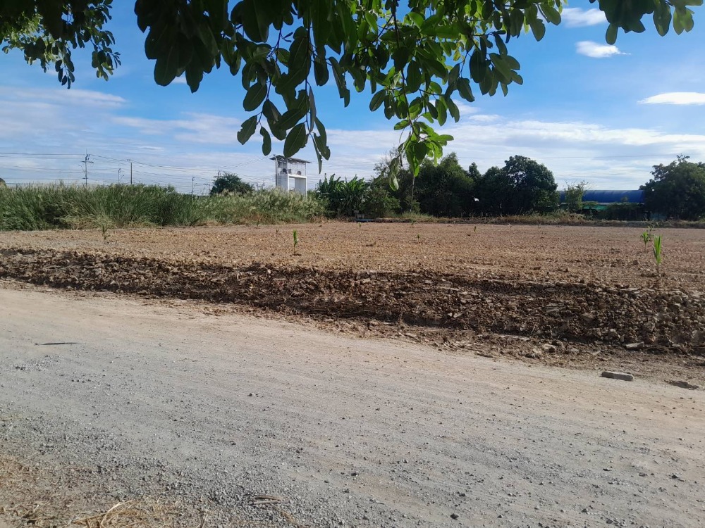Beautiful land, 4 rai, filled in, Minburi – รูปที่ 2
