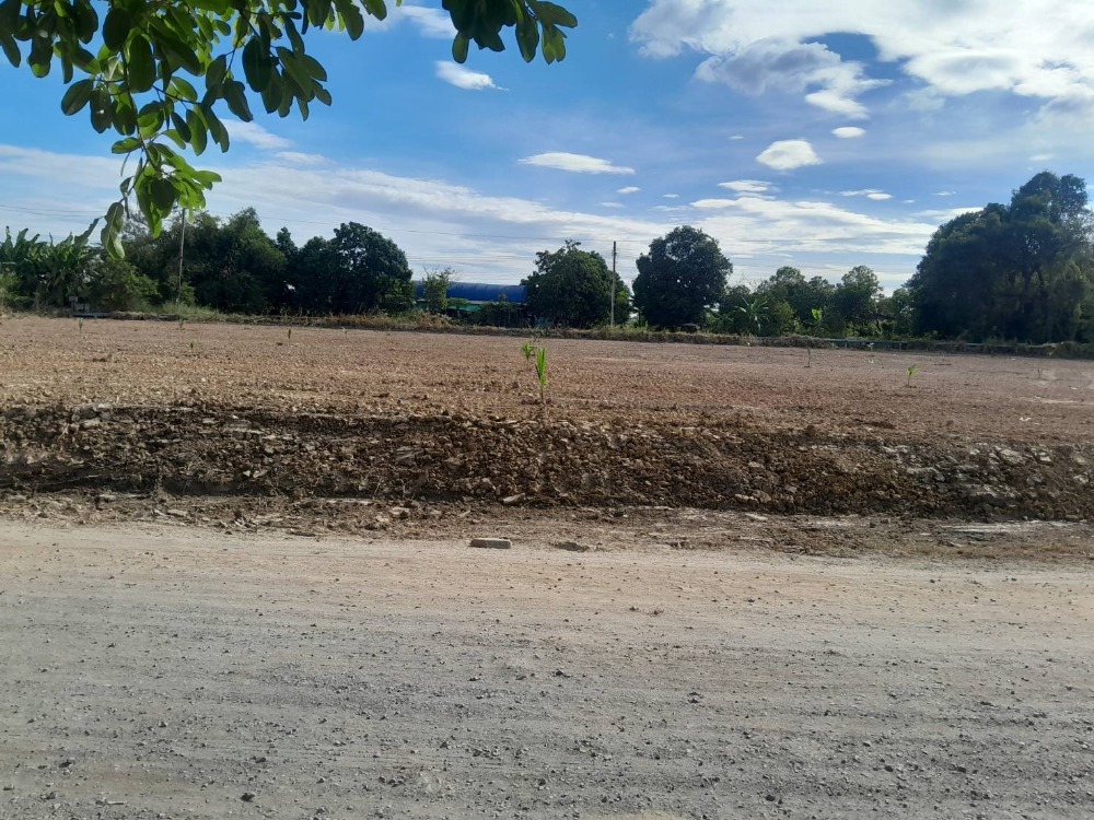 Beautiful land, 4 rai, filled in, Minburi – รูปที่ 3