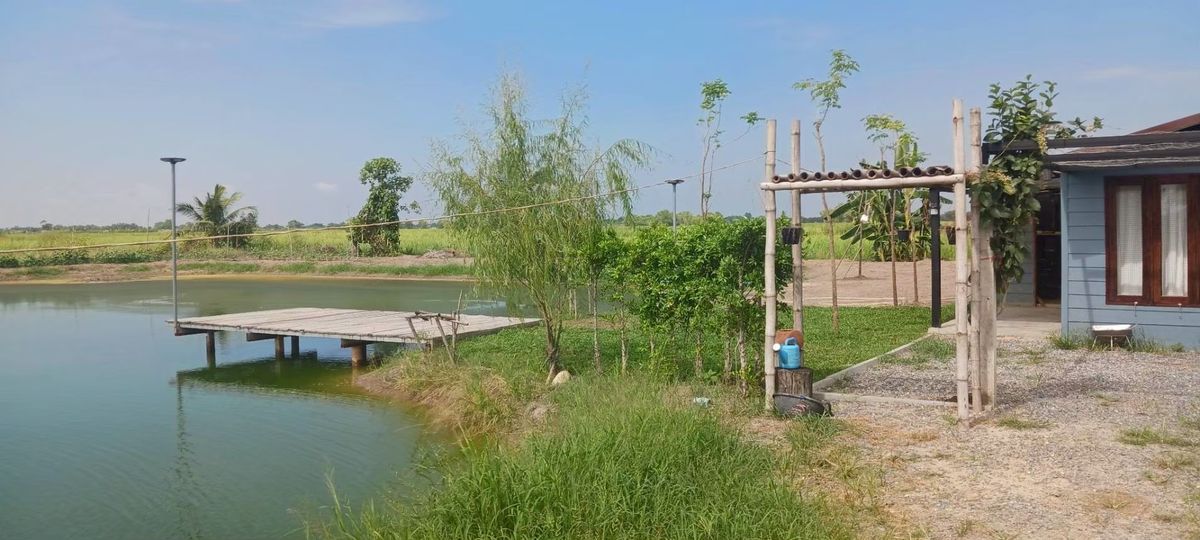 ขายที่ดิน 6 ไร่ เศษ แถมบ้านน้อยปลายนา เหมาะทำการเกษตรพอเพียง พร้อมพักอาศัย พร้อมติดแผงโซล่าเซลล์ อำเภอเมืองนครนายก ราคาพิเศษมาก – รูปที่ 2