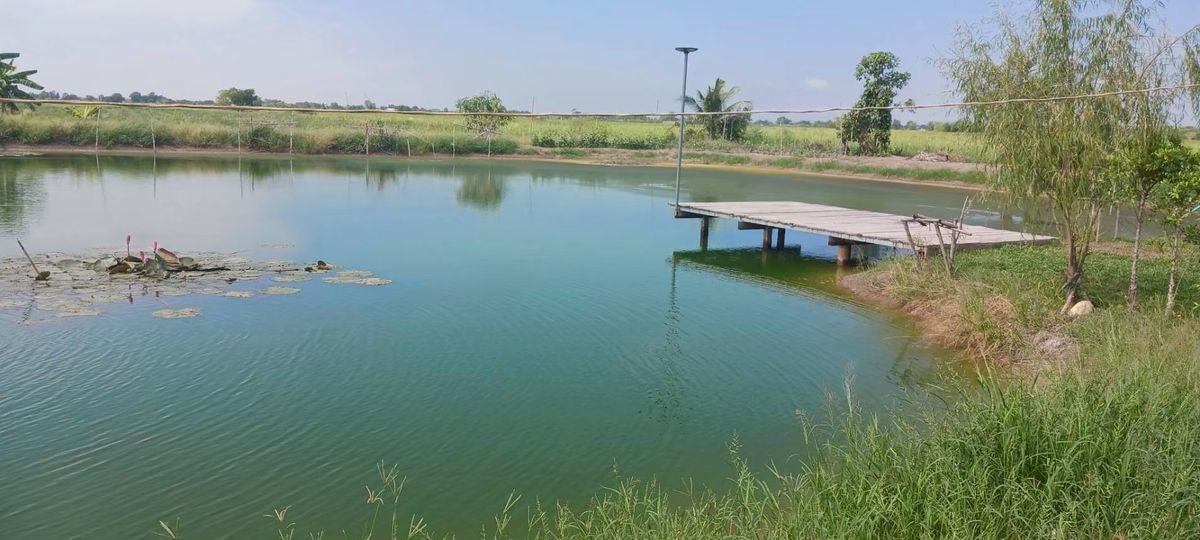 ขายที่ดิน 6 ไร่ เศษ แถมบ้านน้อยปลายนา เหมาะทำการเกษตรพอเพียง พร้อมพักอาศัย พร้อมติดแผงโซล่าเซลล์ อำเภอเมืองนครนายก ราคาพิเศษมาก – รูปที่ 4