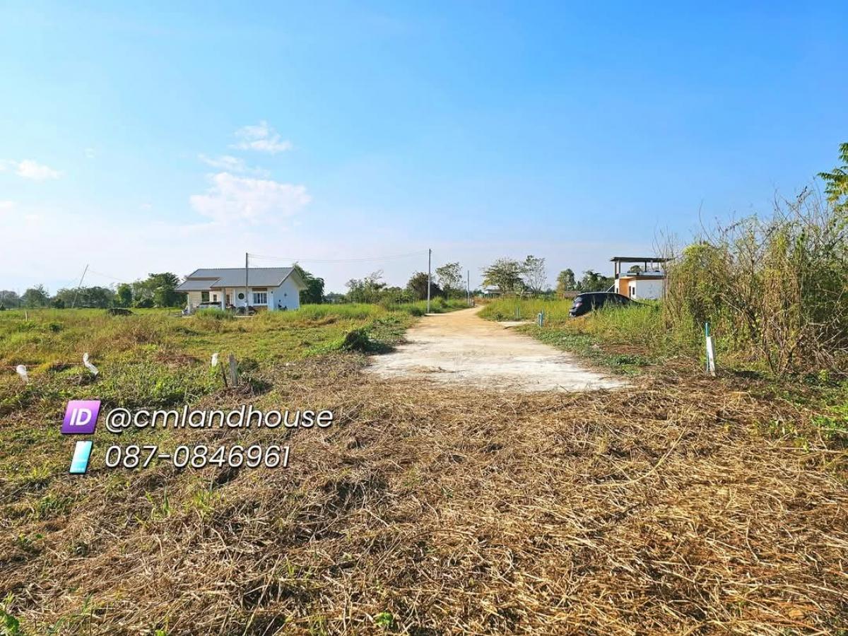 Land 1-0-14 rai for sale, cheap price 1.99 million (4,800/sq m), Song Ban Subdistrict, Doi Saket District, near Pa Pong Guard Tower, to Central Festival Chiang Mai, only 18 km. – รูปที่ 4