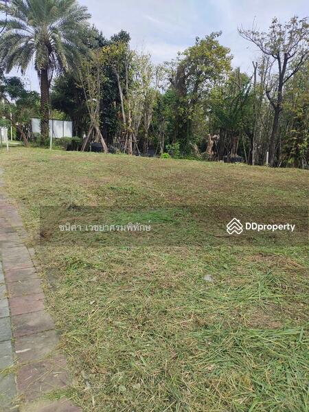 ขาย/ให้เช่า ที่ดิน161 ตรว.ติดถนนราชพฤกษ์ตัดกับ ถนนรัตนาธิเบศร์เหมาะทำร้านอาหาร คลีนิคความงาม คาเฟ่ ราคาไม่แรง11,270,000บาท ตรว.ละ80,000 บาท ใกล้กับสถานีรถไฟฟ้าบางรักน้อย ท่าอิฐ และสถานีบางรักใหญ่ ขาย/ให้เช่า ที่ดิน161 ตรว.ติดถนนราชพฤกษ์ตัดกับ ถนนรัตนาธิเบศร์เหมาะทำร้านอาหาร คลีนิคความงาม คาเฟ่ ราคาไม่แรง11,270,000บาท ตรว.ละ80,000 บาท ใกล้กับสถานีรถไฟฟ้าบางรักน้อย ท่าอิฐ และสถานีบางรักใหญ่