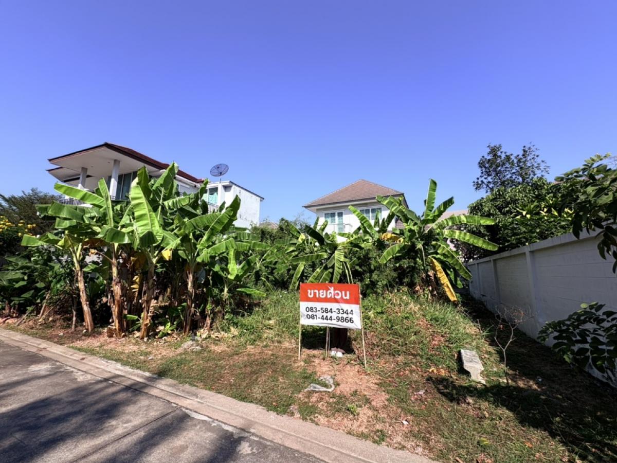 Urgent sale, land, Panchathap Park Village, on Boromratchonnanee Road, beautiful plot for building a house.