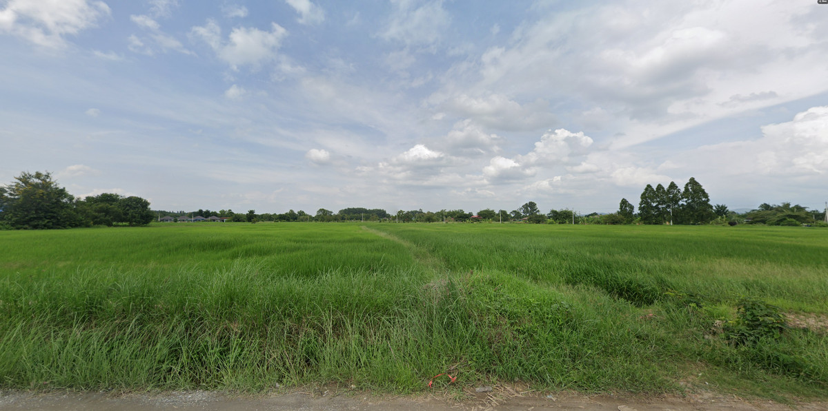 Land for sale, 4 rai, long plot, Chachoengsao – รูปที่ 3