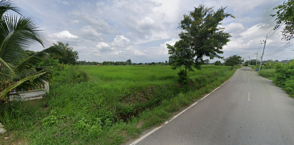 ขาย ที่ดิน 2 ไร่ แปลงยาว ฉะเชิงเทรา ขาย ที่ดิน 2 ไร่ แปลงยาว ฉะเชิงเทรา