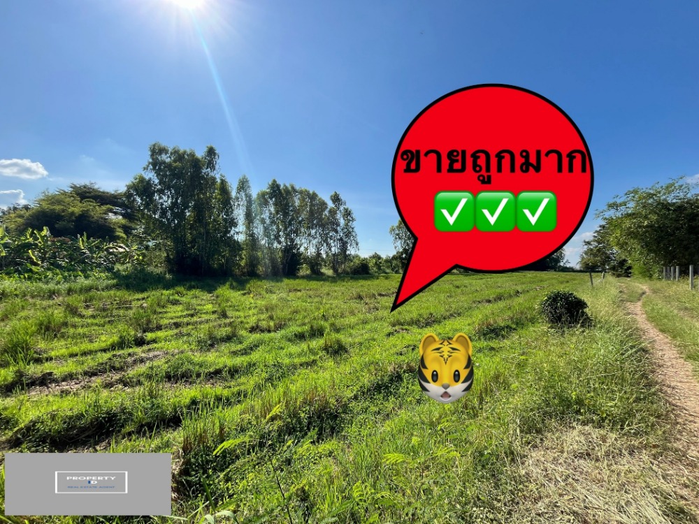 Land for sale,  土地出售rice field view, on the main road, convenient travel, very good location, Nong Nak, Nong Khae, Saraburi, buy and keep for future investment or make a subdivision to sell.