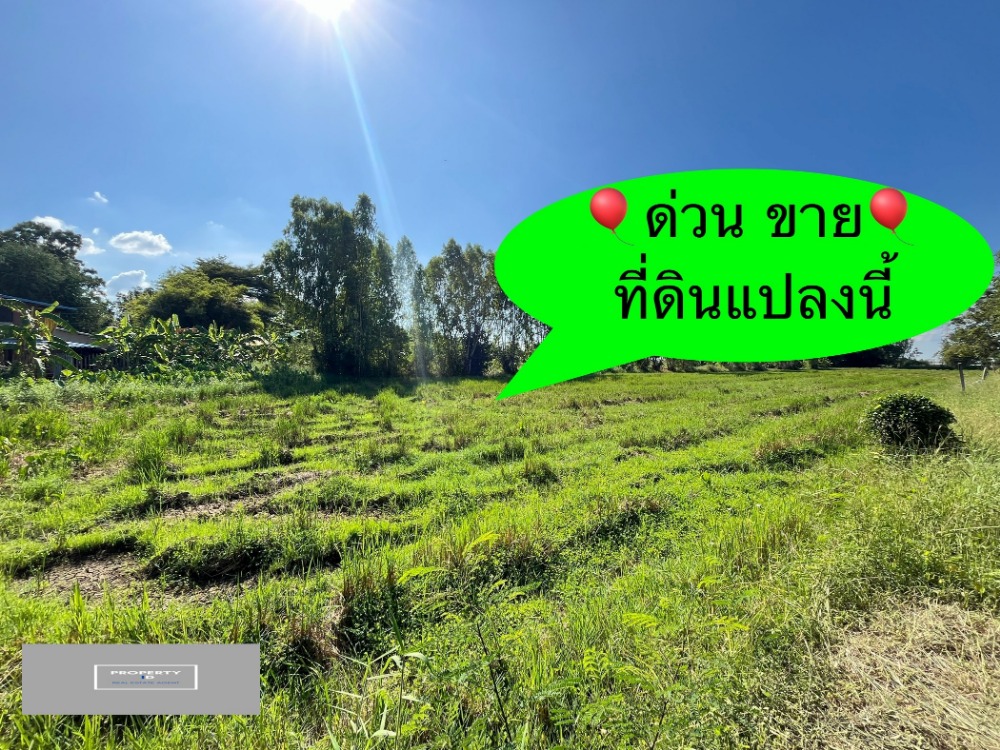 Land for sale,  土地出售rice field view, on the main road, convenient travel, very good location, Nong Nak, Nong Khae, Saraburi, buy and keep for future investment or make a subdivision to sell. – รูปที่ 3
