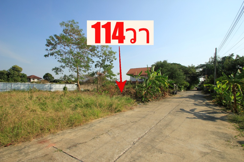 Land on Phutthamonthon Sai 2, Soi 21, Soi Suphamit, 114 wa, land for building a house, next to public utility road, near Phra Thep New Road, convenient transportation, 33,000/wa Land on Phutthamonthon Sai 2, Soi 21, Soi Suphamit, 114 wa, land for building a house, next to public utility road, near Phra Thep New Road, convenient transportation, 33,000/wa