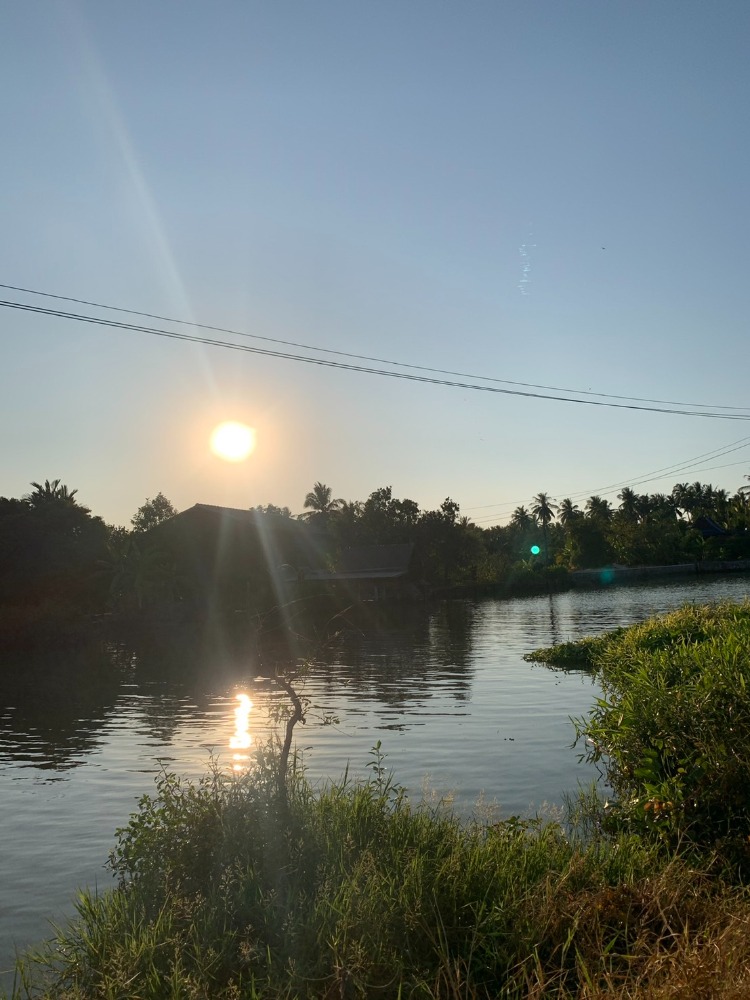 Land for sale, coconut plantation by the river, Samut Songkhram Province