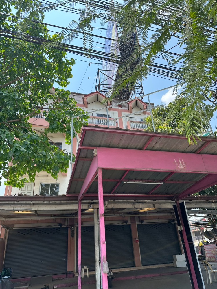 ขาย อาคารพาณิชย์ 3 คูหา 49 ตร.ว. ติดไฟแดงถนนรังสิต-นครนายก ขาย อาคารพาณิชย์ 3 คูหา 49 ตร.ว. ติดไฟแดงถนนรังสิต-นครนายก
