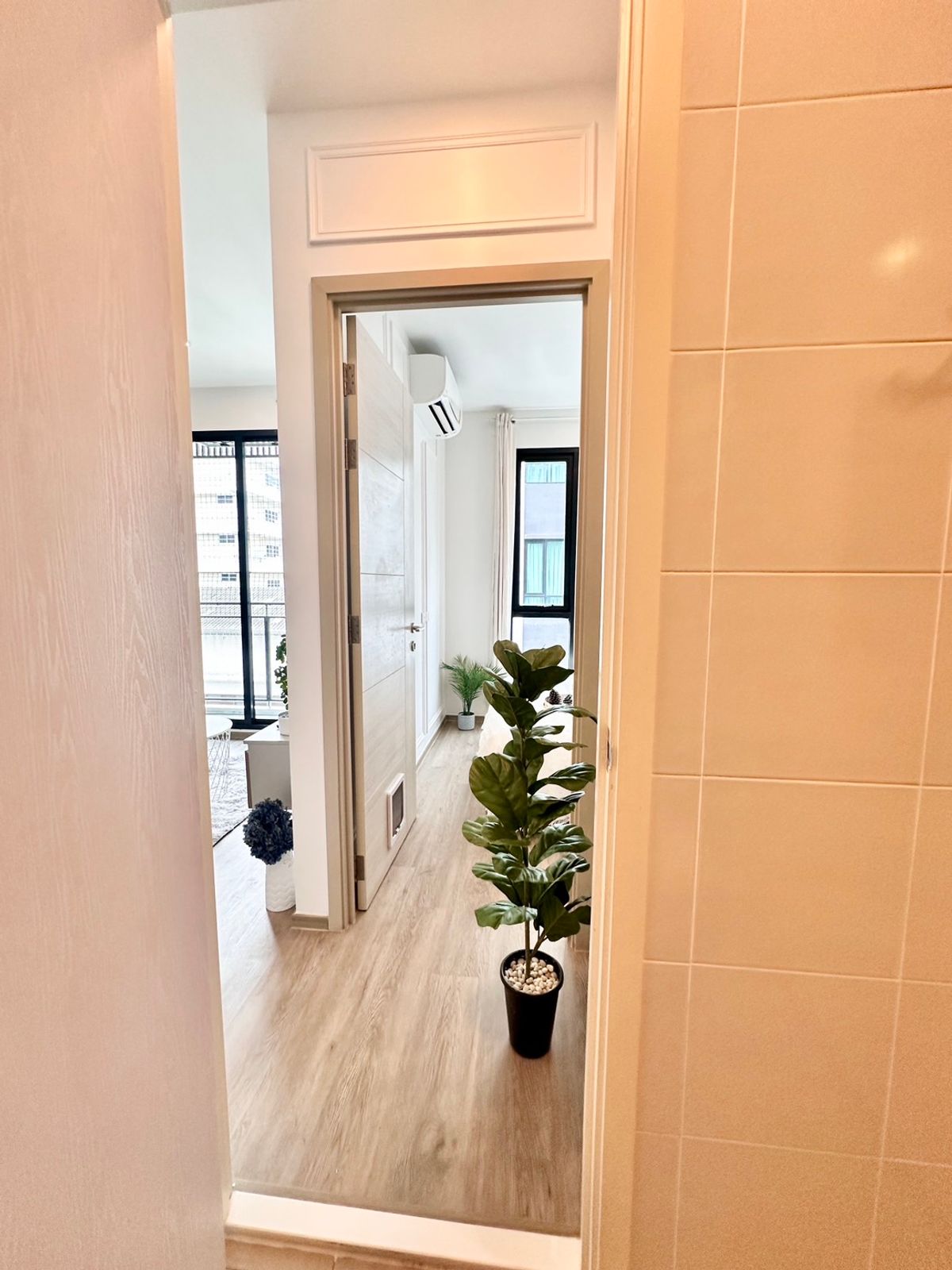 !!! ขายด่วน !! BROMPTON Pet Friendly Sukhumvit 107 คอนโดเลี้ยงสัตว์ได้ – รูปที่ 3