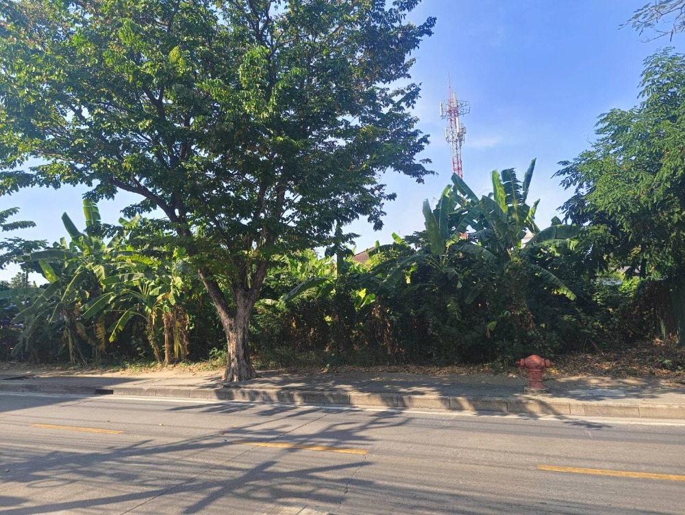 ขายที่ดิน ติดถนนหลักวิภาวด60 งาน ขายด่วนมาก 114 ตรว  กว้าง 20 ลึก 15 เมตร  – รูปที่ 2