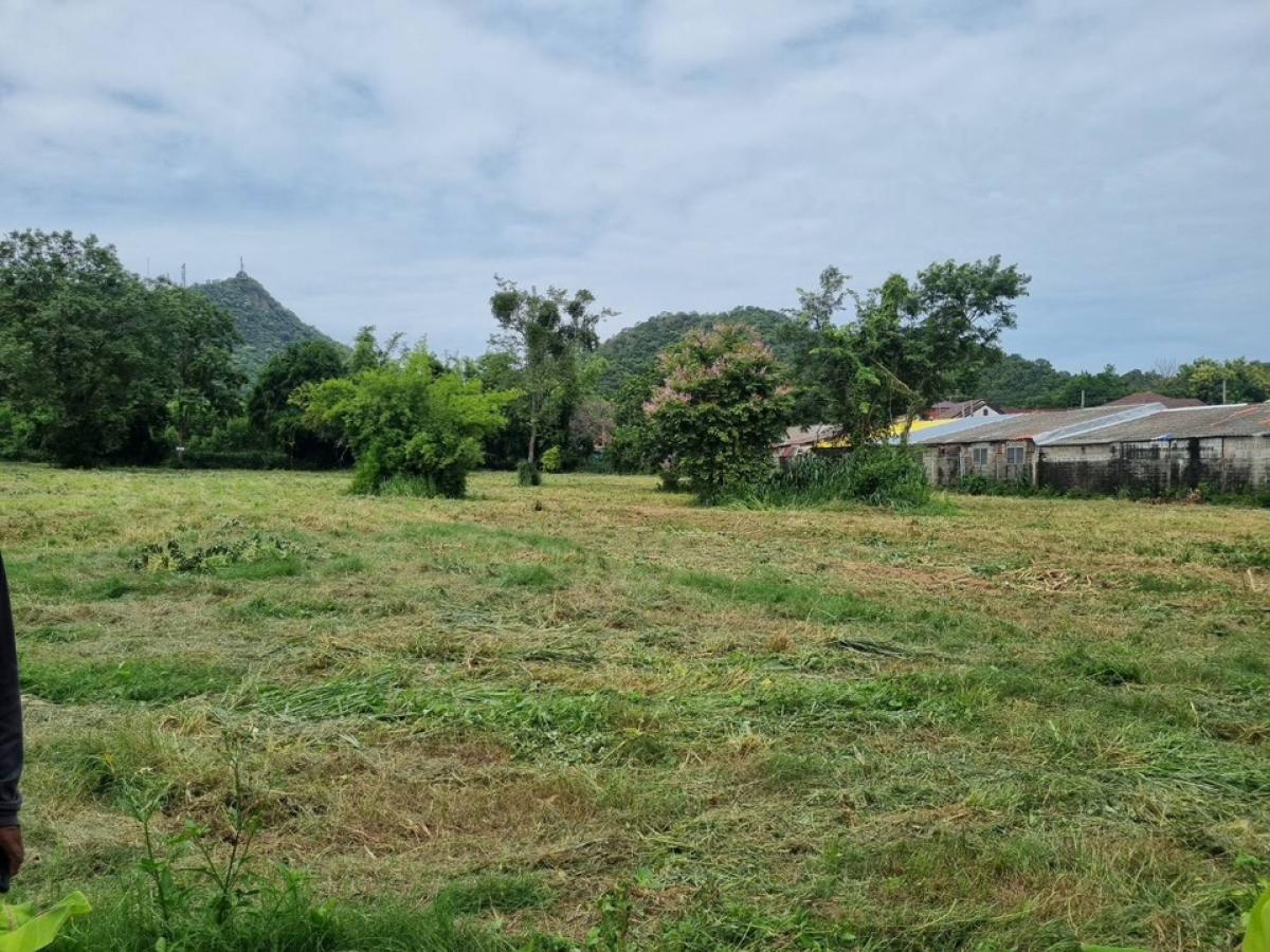 Land for sale @Bangpha - Sriracha8 rai 90 sqw. – รูปที่ 2