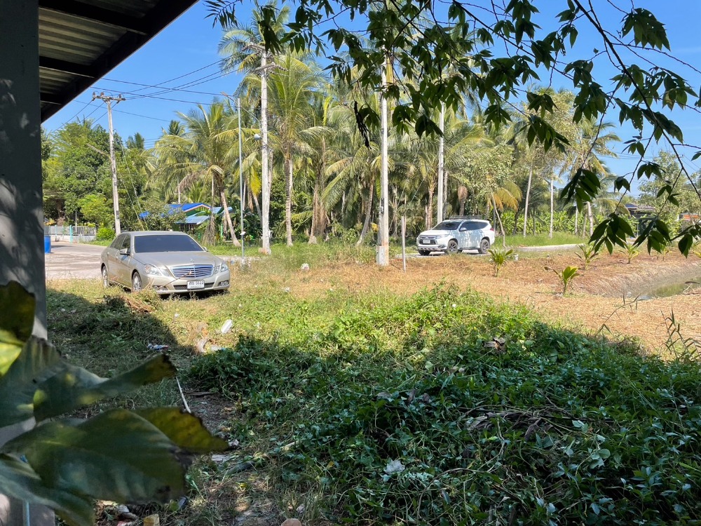 Cheap land for sale, area 9 rai, Amphawa, Samut Songkhram – รูปที่ 2