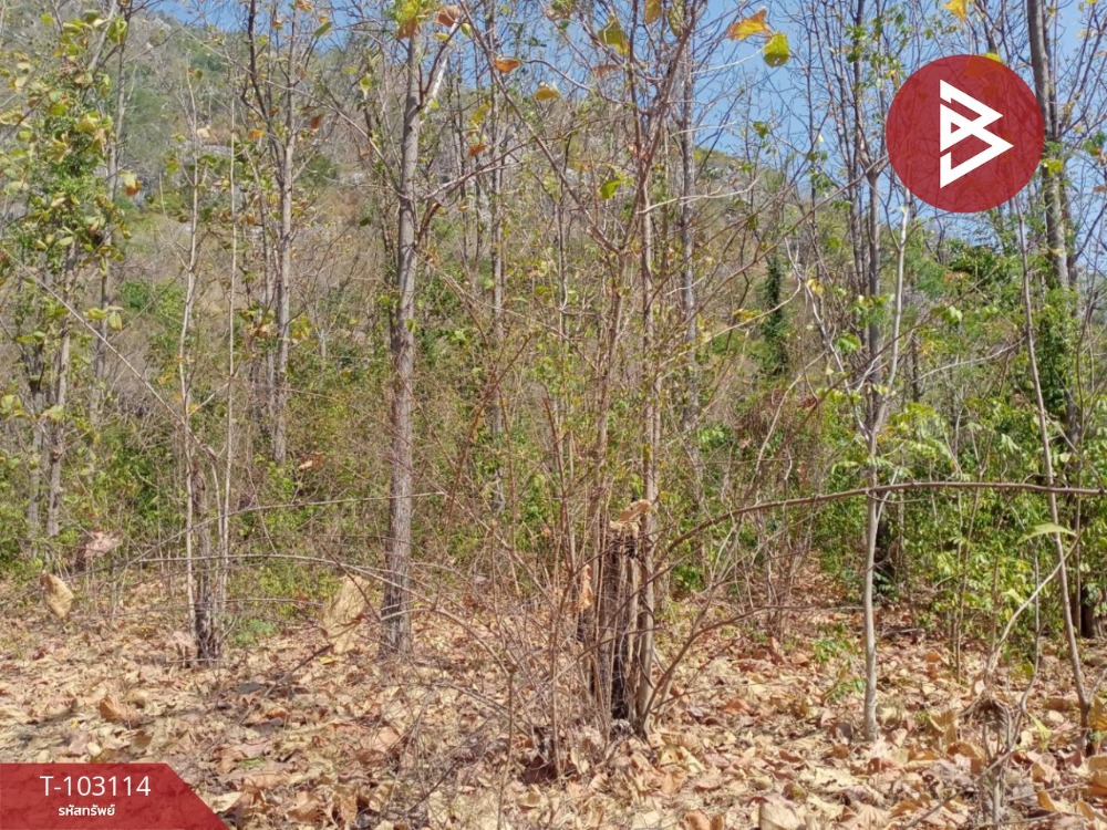 ขายที่ดินเปล่าติดถนน เนื้อที่ 1 งาน 25 ตร.วา ตาคลี นครสวรรค์ – รูปที่ 2