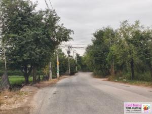 Land for sale 7.5 rai Near Wat Pa Mani Kanchan T. Bang Muang, A. Bang Yai, Nonthaburi