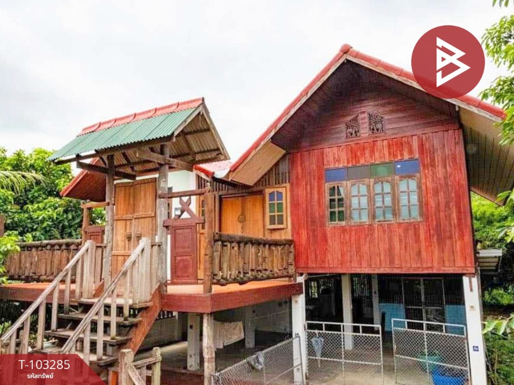 ขาย/เช่า บ้านเดี่ยวพร้อมที่ดิน เนื้อที่ 4 ไร่ 85 ตร.วา จอมทอง เชียงใหม่ – รูปที่ 2