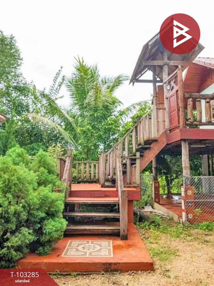 ขาย/เช่า บ้านเดี่ยวพร้อมที่ดิน เนื้อที่ 4 ไร่ 85 ตร.วา จอมทอง เชียงใหม่ – รูปที่ 3