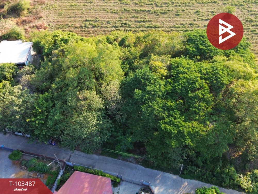 Land for sale, Phetphaithong Road, area 1 rai 52 sq m, Kaeng Khoi, Saraburi – รูปที่ 2