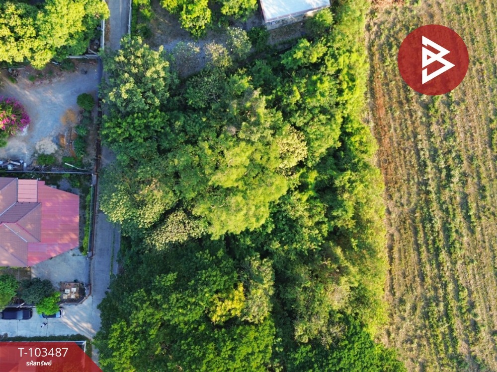 Land for sale, Phetphaithong Road, area 1 rai 52 sq m, Kaeng Khoi, Saraburi – รูปที่ 4