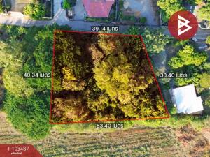 Land for sale, Phetphaithong Road, area 1 rai 52 sq m, Kaeng Khoi, Saraburi
