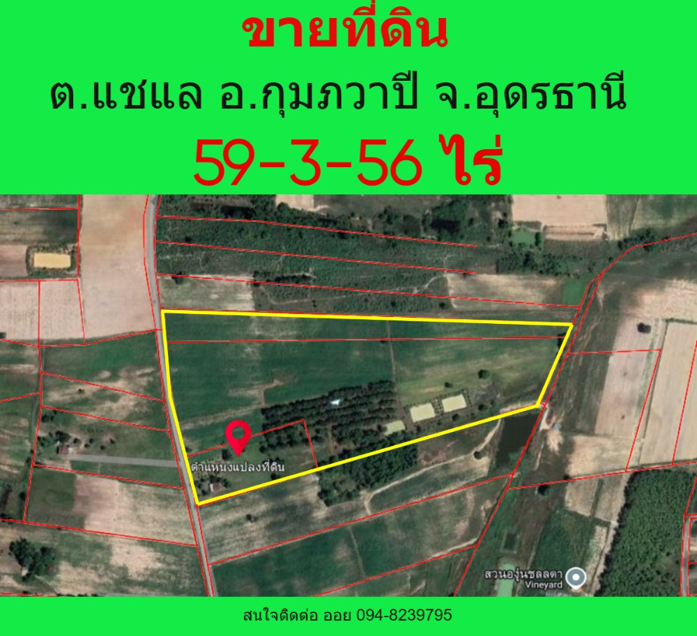 ขายที่ดินแปลงสวย 59-3-56 ไร่ ต.แชแล อ.กุมภวาปี จ.อุดรธานี ( 250,000 บาท/ไร่) ขายที่ดินแปลงสวย 59-3-56 ไร่ ต.แชแล อ.กุมภวาปี จ.อุดรธานี ( 250,000 บาท/ไร่)
