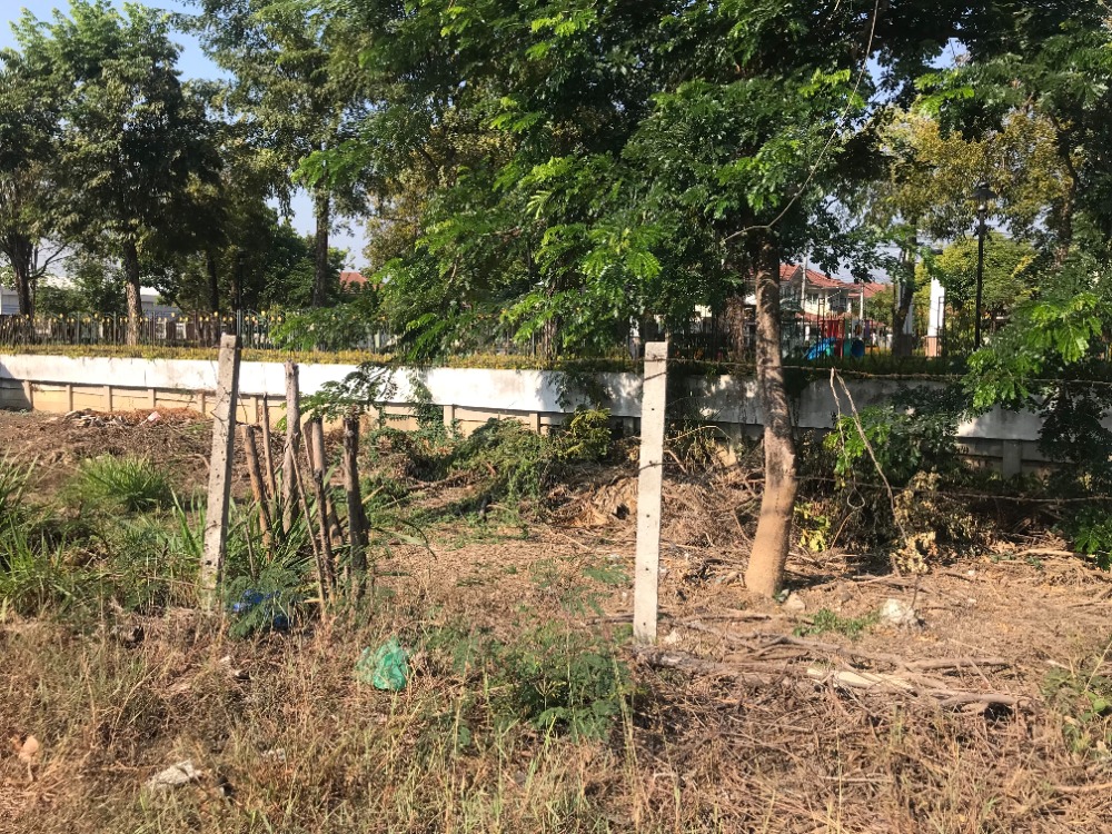 ขายที่ดินติดถนน จังหวัดเชียงใหม่ 121.30 ตร.วา ราคา 4,500,000 บาท – รูปที่ 2