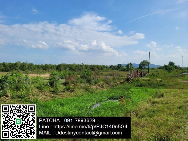 ขายด่วนที่ดินแปลงใหญ่ ทำเลดี ย่านเศรษฐกิจ ใกล้ถนนลพบุรีราเมศวร์ ใกล้ตัวเมืองสงขลา – รูปที่ 3