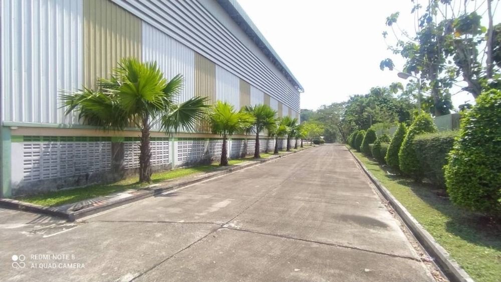 ขาย โกดัง โรงงาน 4,500ตร.ม.พร้อมออฟฟิต บางละมุง ชลบุรี – รูปที่ 4