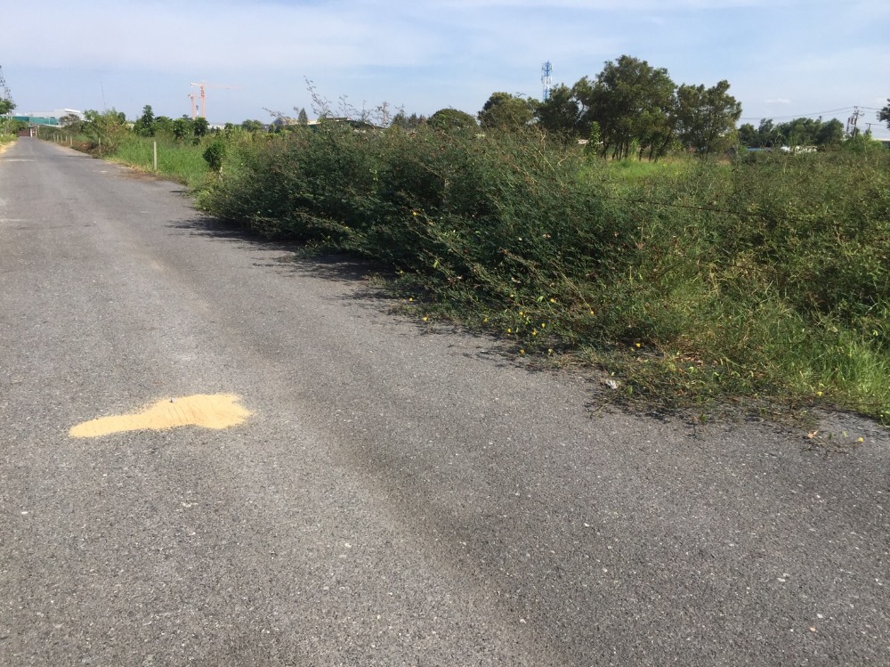 Land for sale, 200 square wah, very wide frontage, near market, hospital, Suvarnabhumi Airport, King Mongkuts University of Technology Thonburi, electric train and motorway, new road, Krungthep Kreetha, Rama 9, new expressway entrance and exit point Land for sale, 200 square wah, very wide frontage, near market, hospital, Suvarnabhumi Airport, King Mongkuts University of Technology Thonburi, electric train and motorway, new road, Krungthep Kreetha, Rama 9, new expressway entrance and exit point