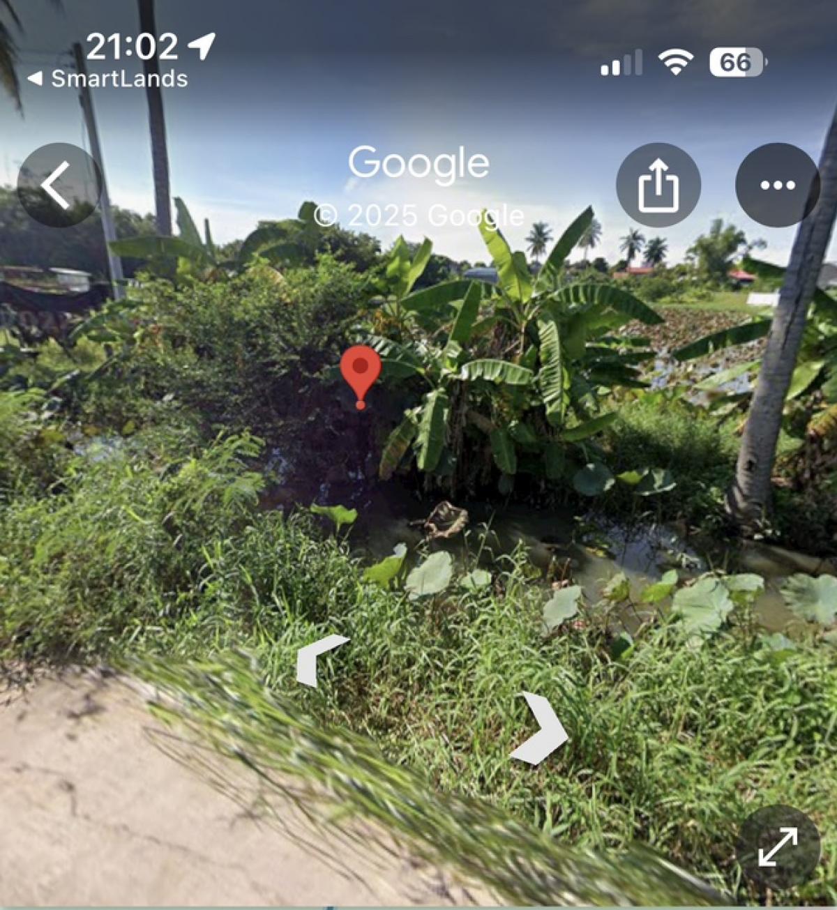 ❤️❤️ขายที่ดินสวย หนองหิน จ ขอนเเก่น ขนาด 1 ไร่ 6 ตรว หน้ากว้าง 19 เมตร ราคาเพียง 2.5 ล้าน คนโิอนคนละครึ่ง เหมาะสร้างบ้านพักอาศัย  มีนำ้ ไฟ เข้าถึง มีถนนตัดผ่าน สนใจ line tel 0859114585 ❤️ – รูปที่ 2