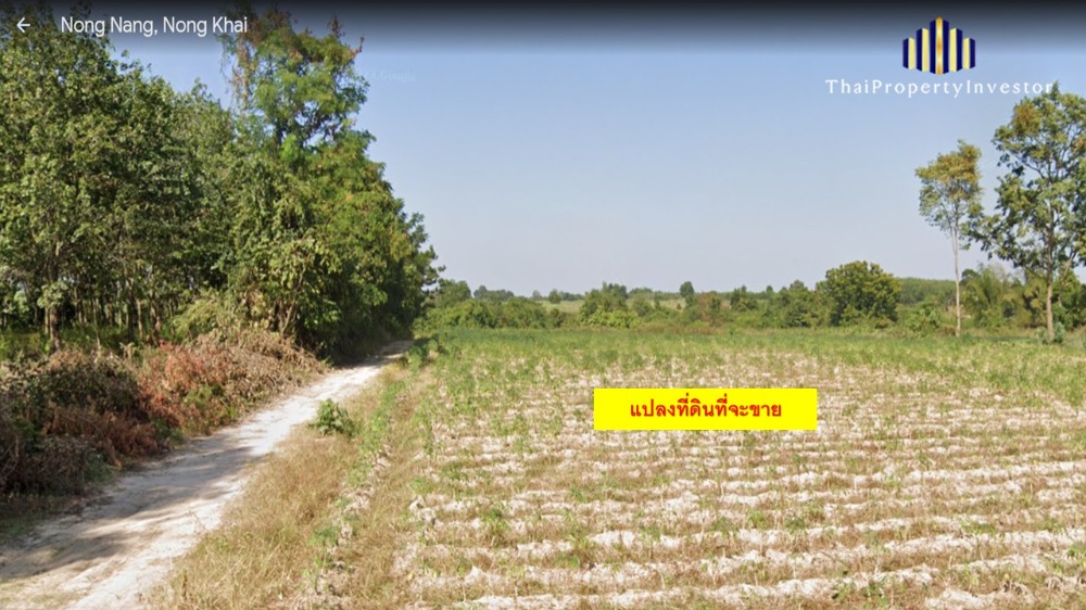 “นี่คือโอกาสทองสำหรับนักลงทุนหรือผู้ประกอบการ ขายที่ดินเปล่า แปลงใหญ่ 56-1-28 ไร่ บ้านหนองนาง ท่าบ่อ หนองคาย รองรับทุกการขยายตัวของธุรกิจในอนาคต ไม่ว่าจะเป็น โกดังสินค้า ศูนย์กระจายสินค้า ฟาร์มปศุสัตว์ – รูปที่ 2