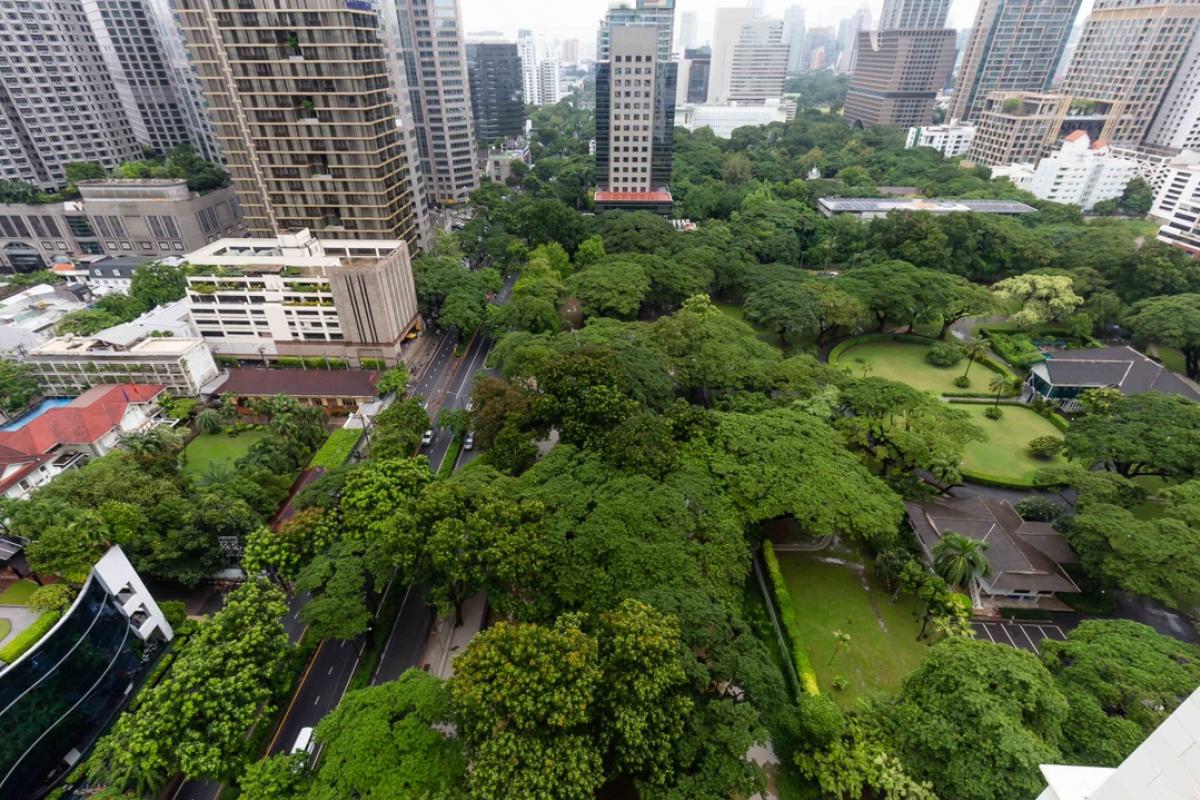 ✨ 98 WIRELESS - 2 Bedroom Park View ✨ Please Contact : 093-616-4456 (Sales) ✨ 98 WIRELESS - 2 Bedroom Park View ✨ Please Contact : 093-616-4456 (Sales)