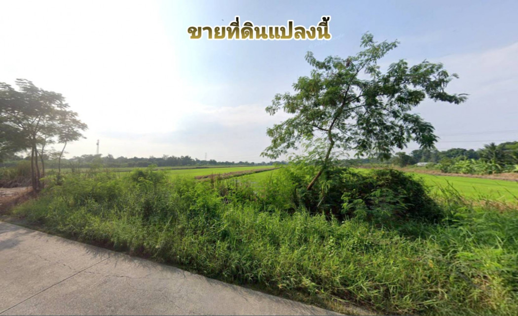 Land for sale, area 38 rai 11 square wa, next to Wat Sukjai Road, Khlong Sam Wa District, Bangkok Land for sale, area 38 rai 11 square wa, next to Wat Sukjai Road, Khlong Sam Wa District, Bangkok